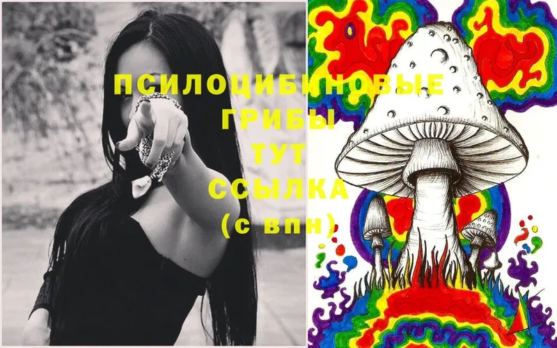 Галлюциногенные грибы Magic Shrooms  Кимры 